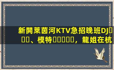 新開萊茵河KTV急招晚班DJ、模特，龍姐在杭州帶你上班
